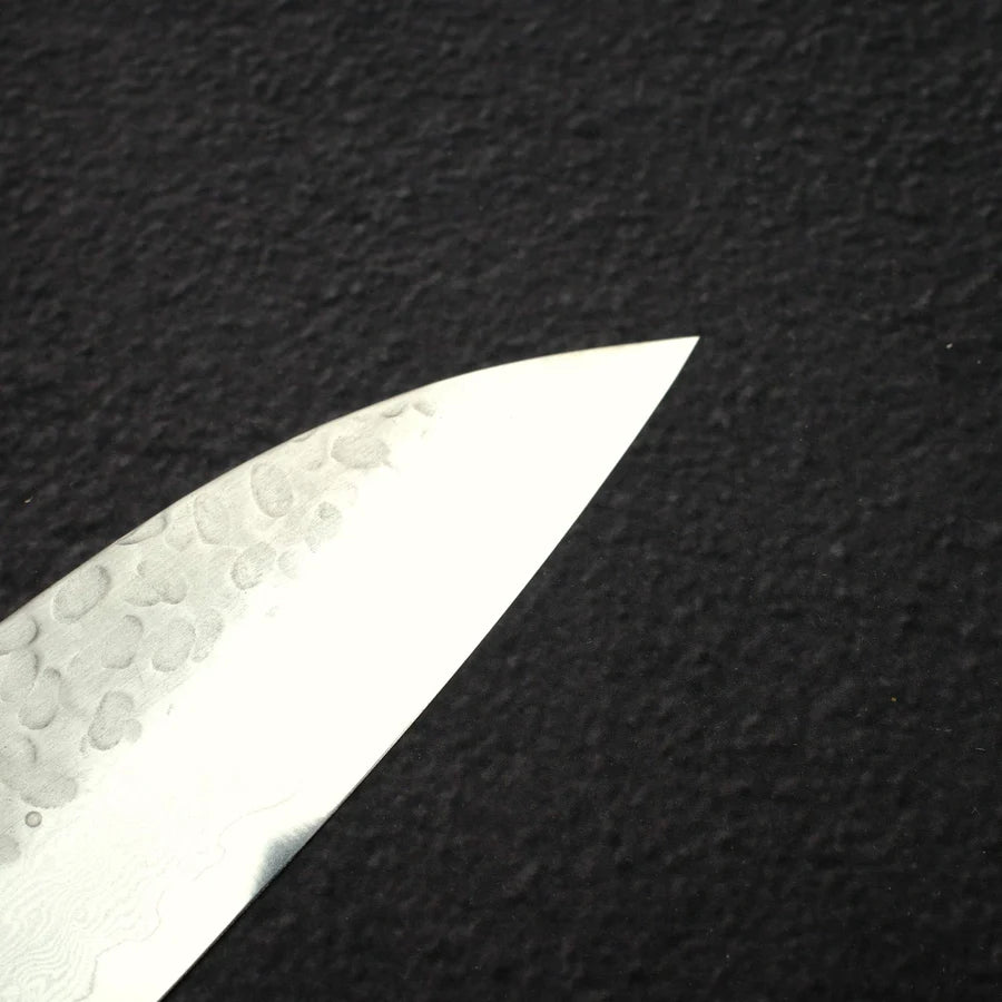 Sakai Takayuki VG10 Gyuto 210mm (8.9") 33 Layer Hammered Damascus