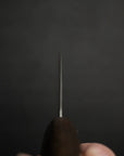 Hatsukokoro Hikari SLD Damascus Gyuto 210mm