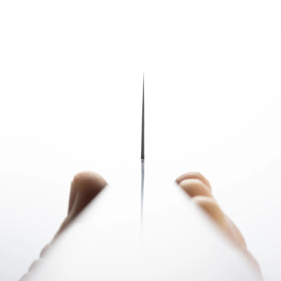 Hatsukokoro Ryuhyo SG2 Black Damascus Gyuto 240mm Ebony