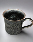 Asahido Silver Flower Tenmoku Mug by Hashimoto