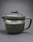 Fukui Craft Rainbow Wide-Mouth Teapot