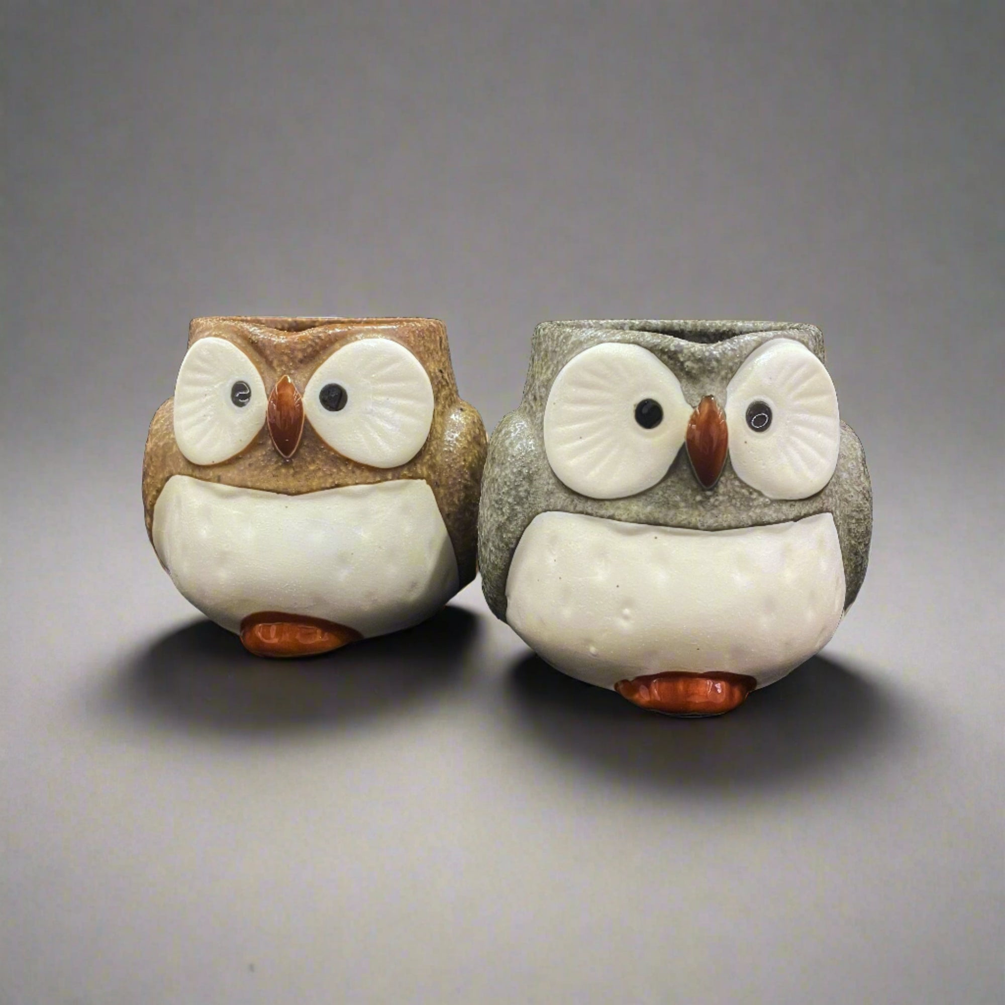 Ichiyama Owl Mug Pair Set