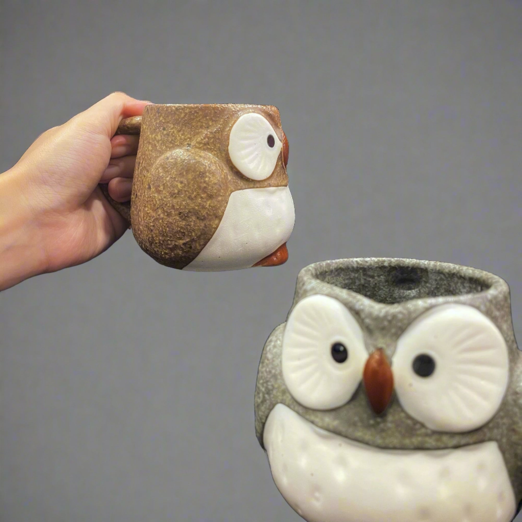 Ichiyama Owl Mug Pair Set