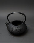 Ikenaga Nambu Ironware Cast Iron Kettle Hoju 600ml