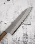 Nigara Aogami (Blue) Super Gyuto 210mm Tsuchime Black Chacate