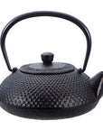 IKENAGA Nambu Cast Iron Teapot 600ml